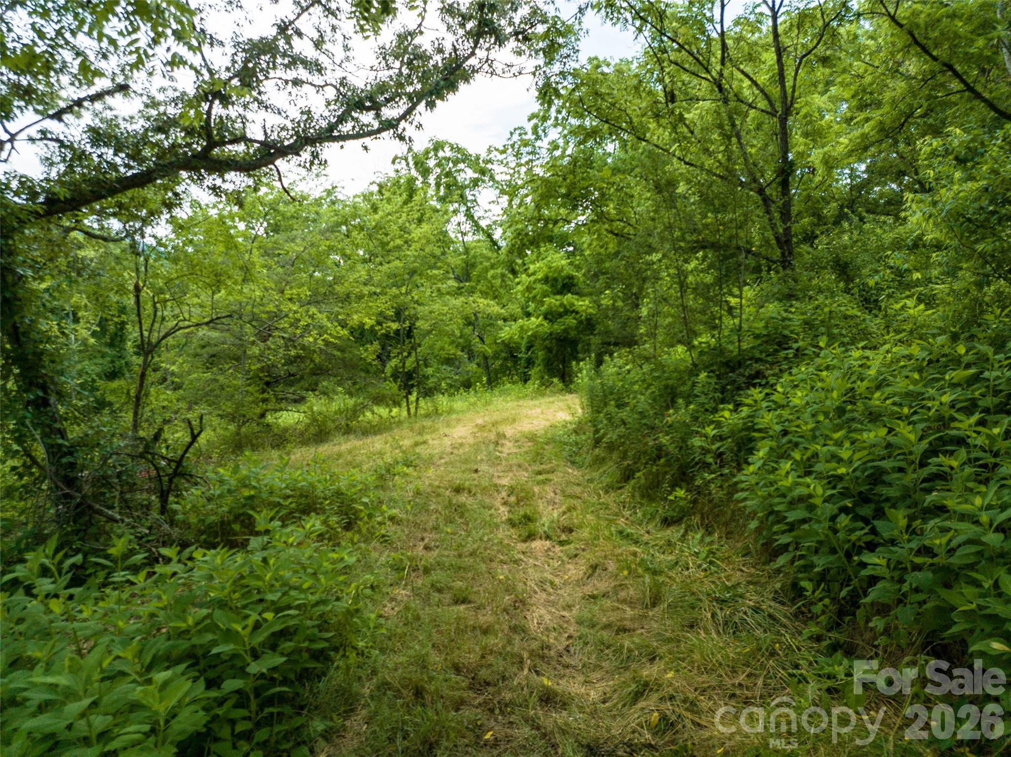 99999 Us 70 Highway Property Photo 18