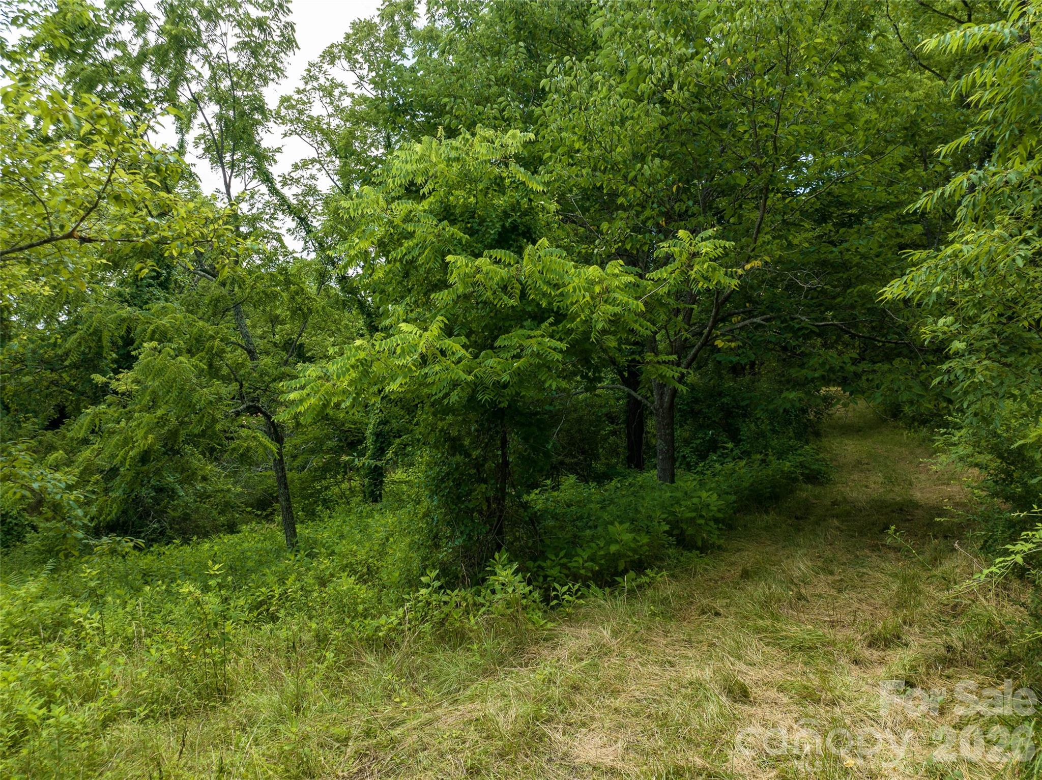 99999 Us 70 Highway Property Photo 19
