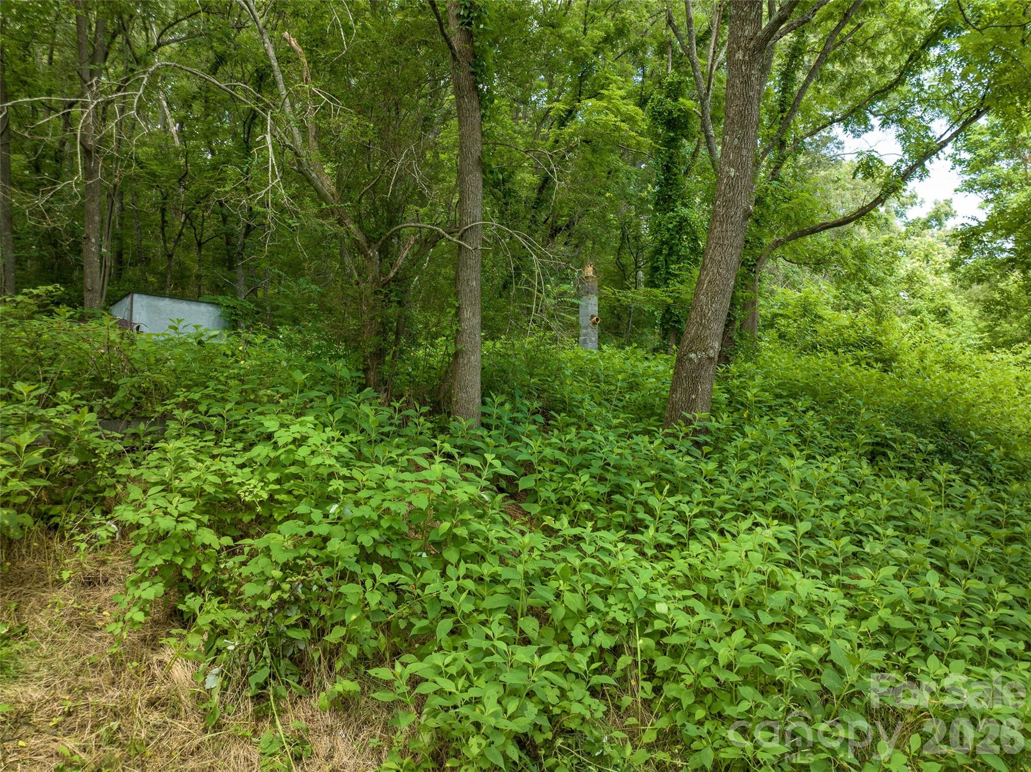 99999 Us 70 Highway Property Photo 20