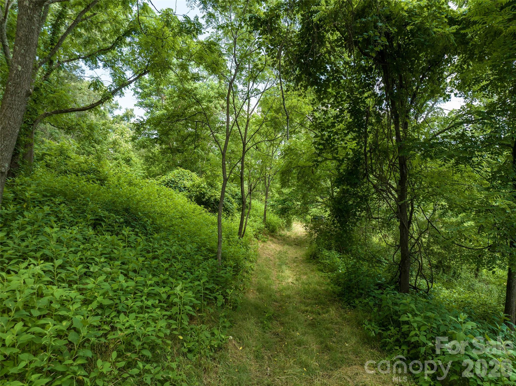 99999 Us 70 Highway Property Photo 21