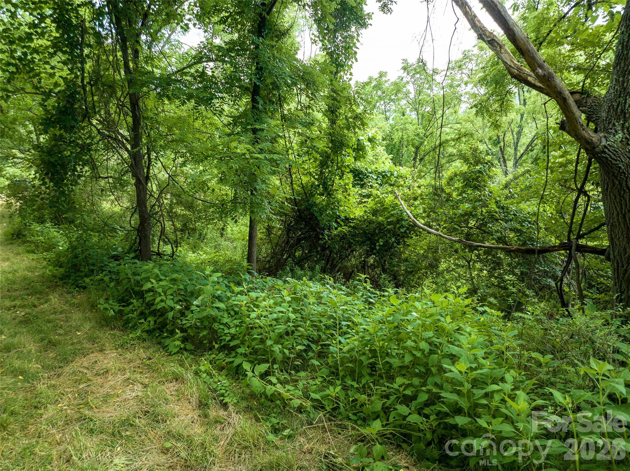 99999 Us 70 Highway Property Photo 22