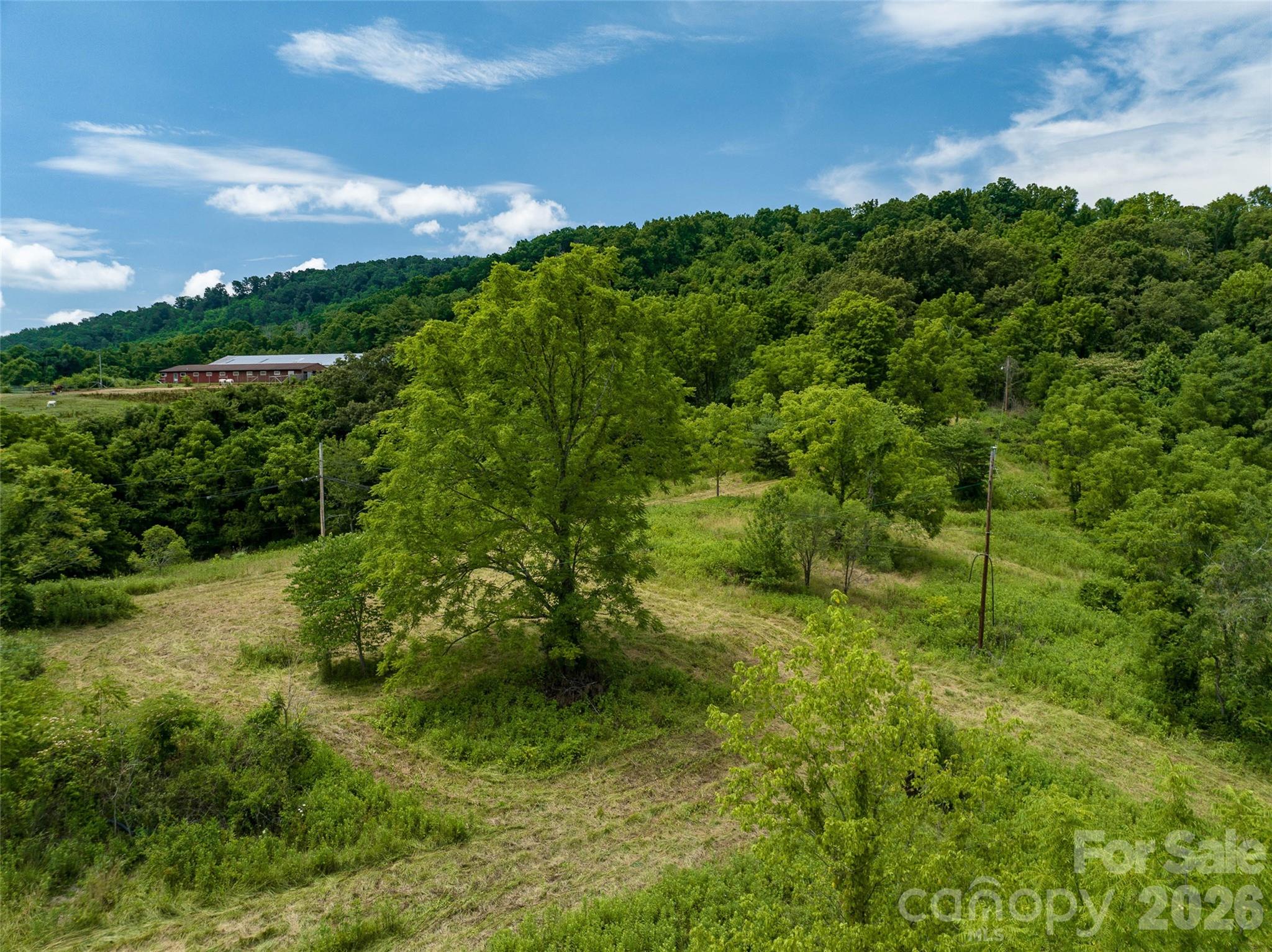99999 Us 70 Highway Property Photo 37