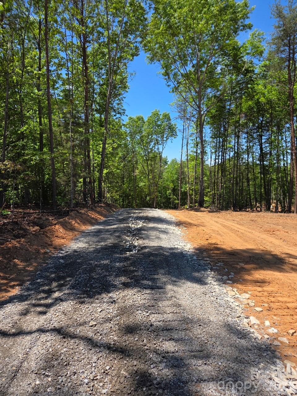 Tbd Vein Mountain Road 5 Property Photo 2