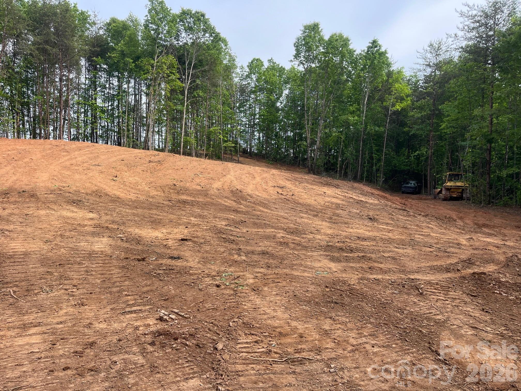 Tbd Vein Mountain Road 5 Property Photo 5