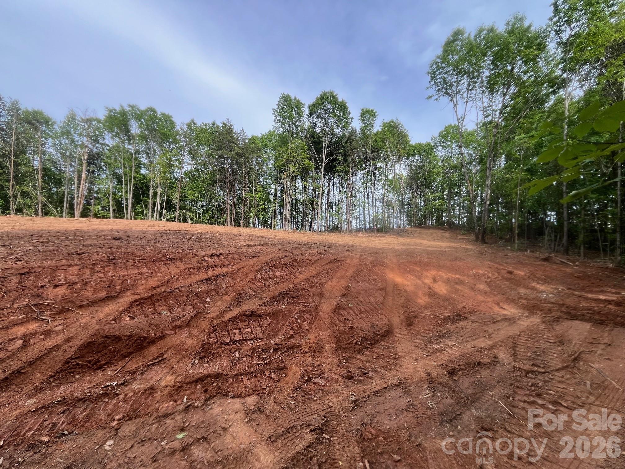Tbd Vein Mountain Road 5 Property Photo 7