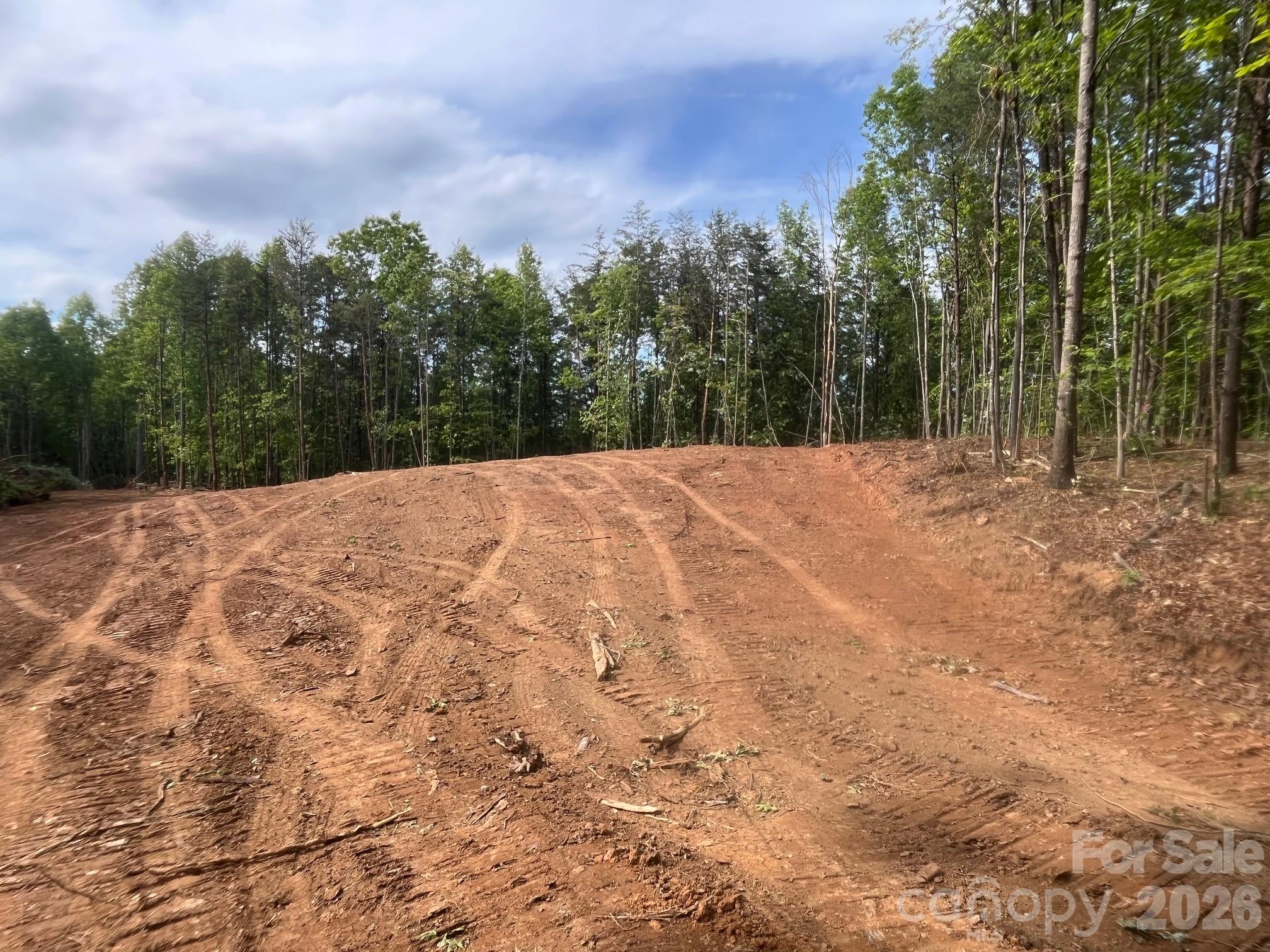 Tbd Vein Mountain Road 5 Property Photo 8