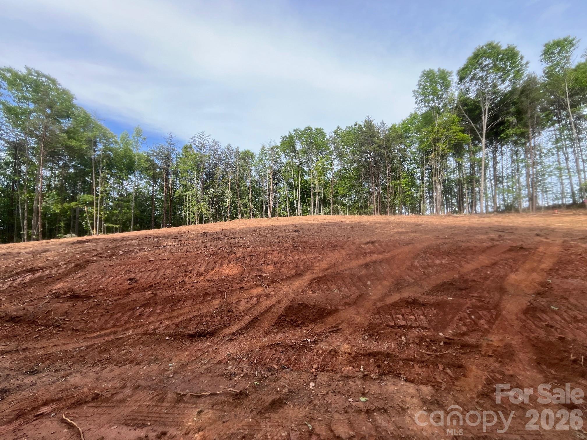Tbd Vein Mountain Road 5 Property Photo 9