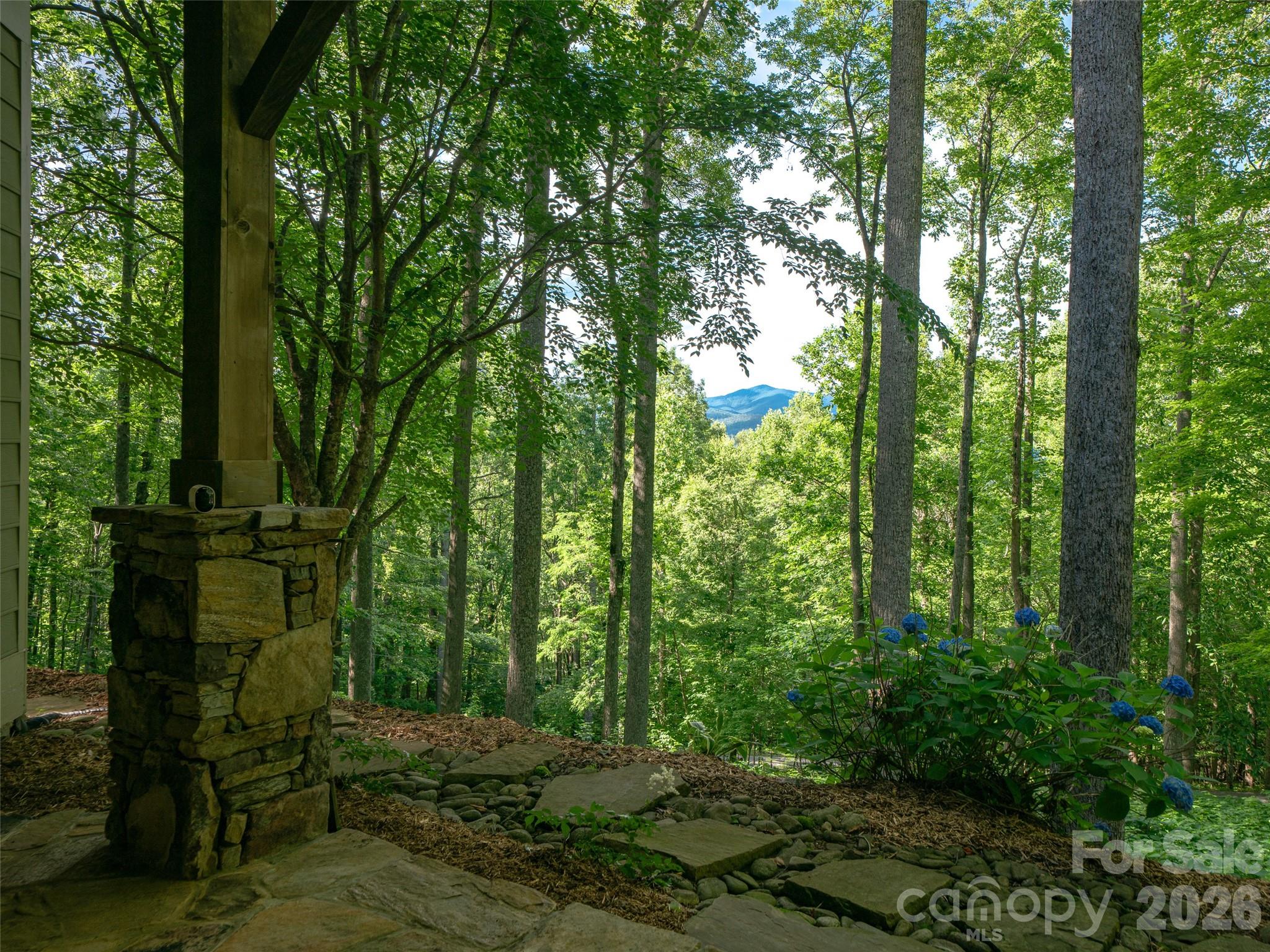 71 Chestnut Hill Road Property Photo 28