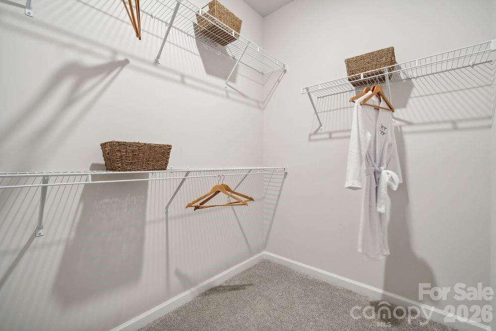 3920 Clemson Alley Property Photo 18