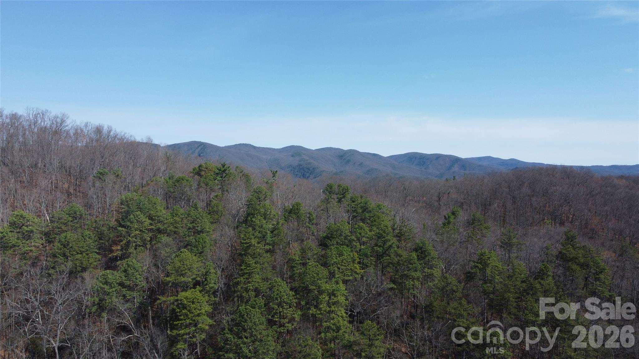 0000 Wilderness Road Property Photo 1
