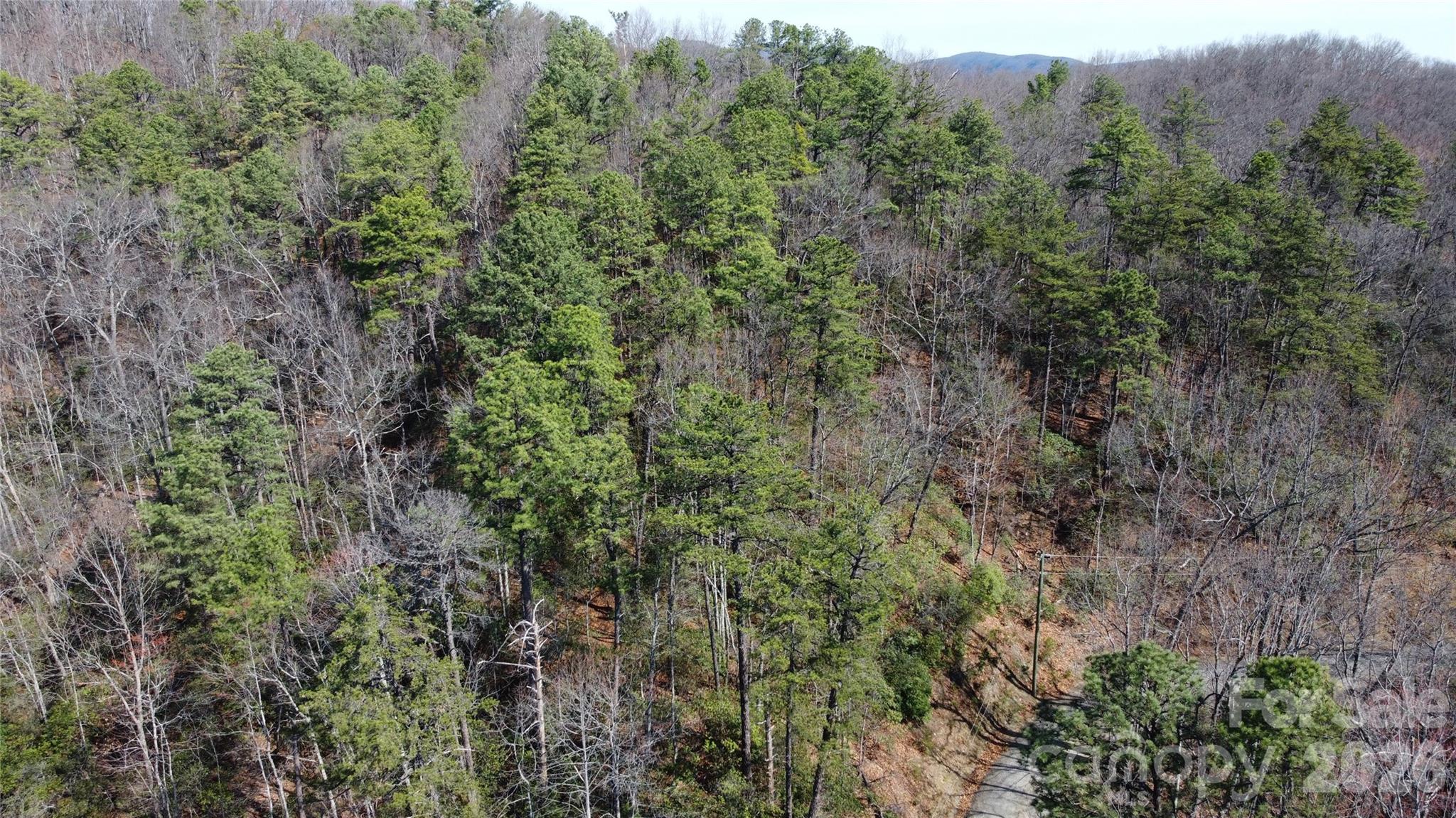 0000 Wilderness Road Property Photo 8