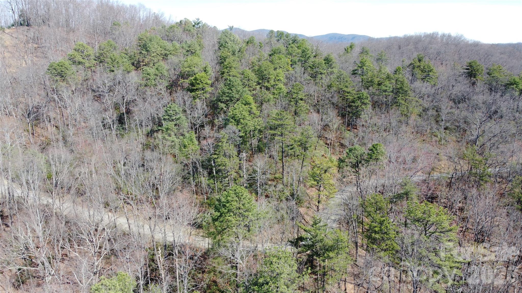 0000 Wilderness Road Property Photo 9