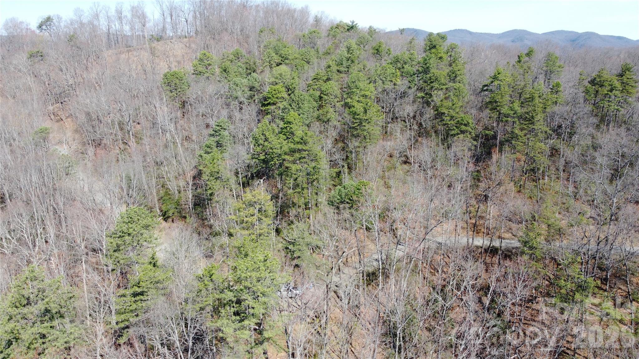 0000 Wilderness Road Property Photo 10