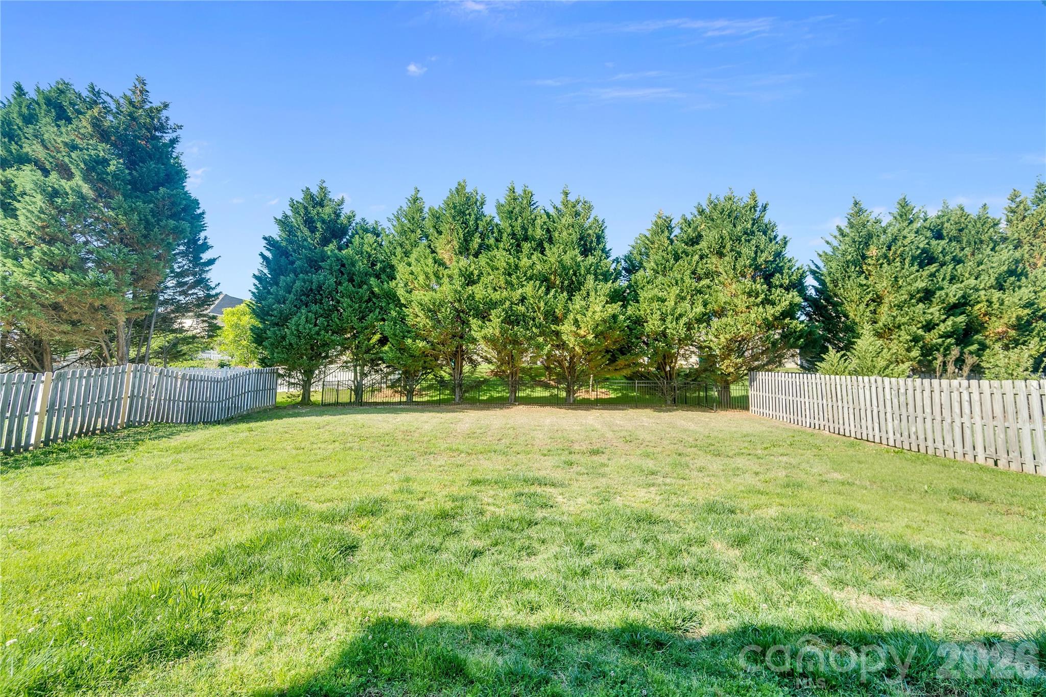 1007 Butterburr Drive Property Photo 2