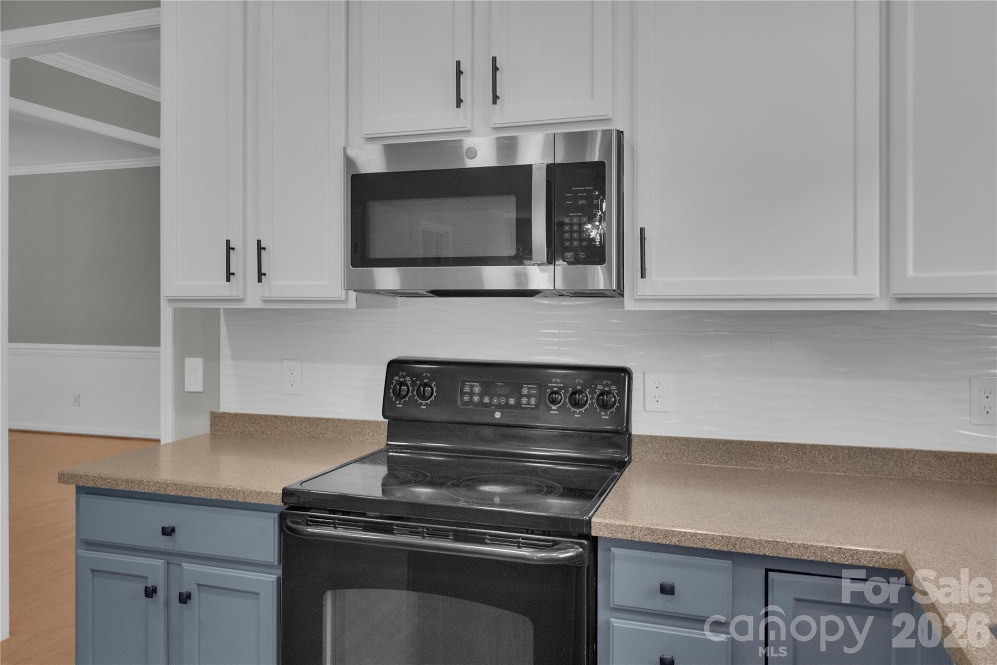 1007 Butterburr Drive Property Photo 4