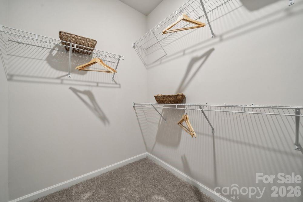 3916 Clemson Alley 78 Property Photo 13