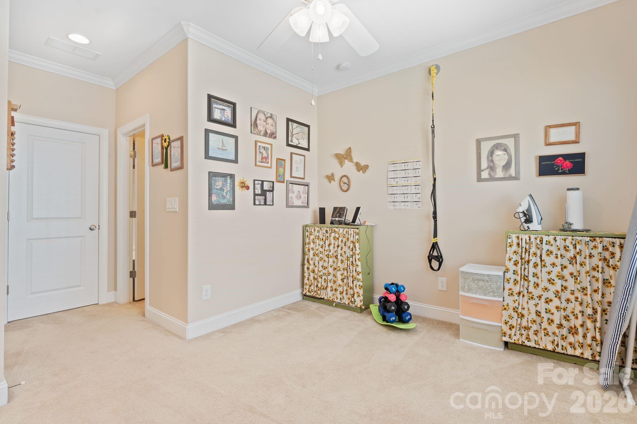 491 Granite Lake Court Property Photo 37