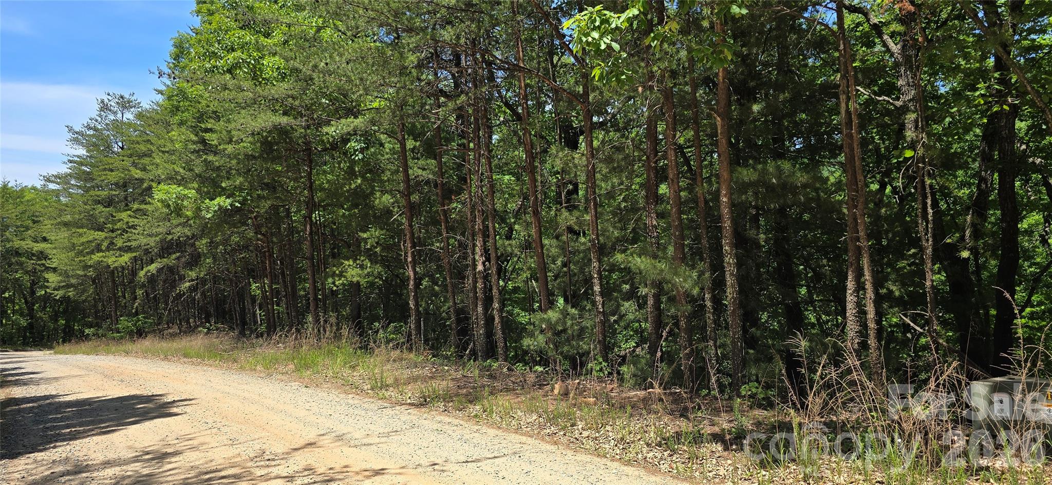 Lot 22b Pinnacle Parkway Property Photo 2