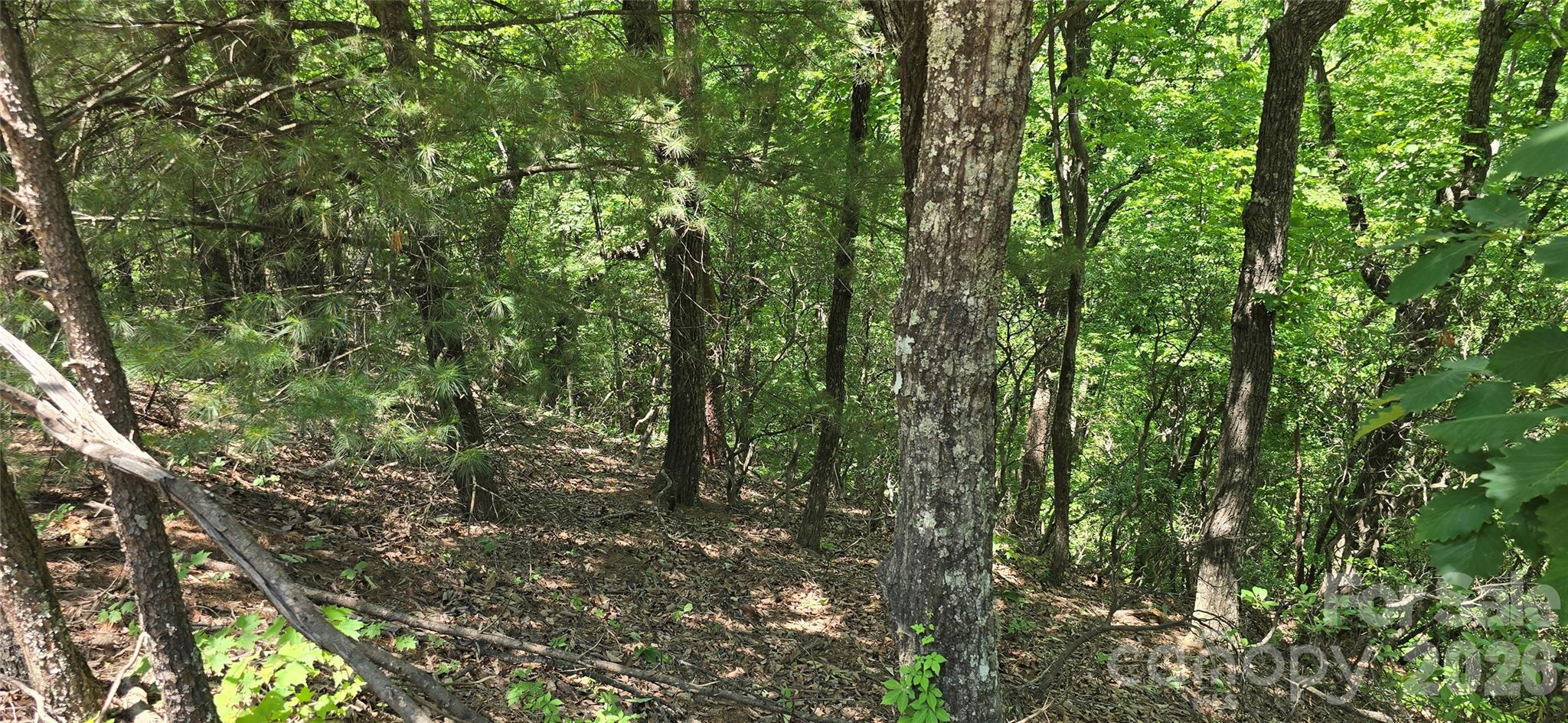 Lot 22b Pinnacle Parkway Property Photo 3