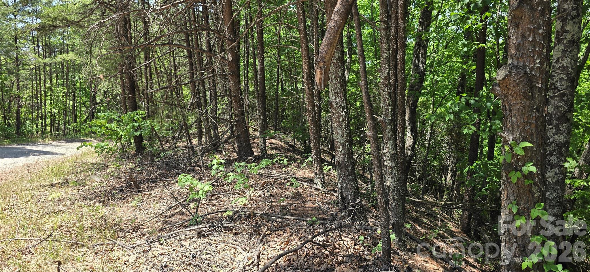 Lot 22b Pinnacle Parkway Property Photo 4