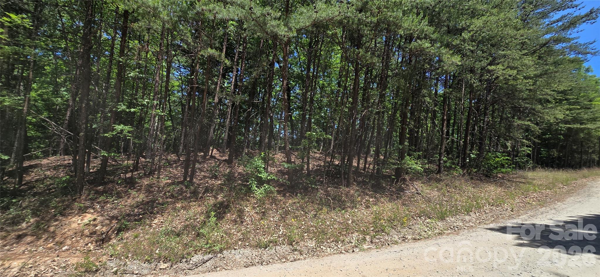 Lot 22b Pinnacle Parkway Property Photo 5