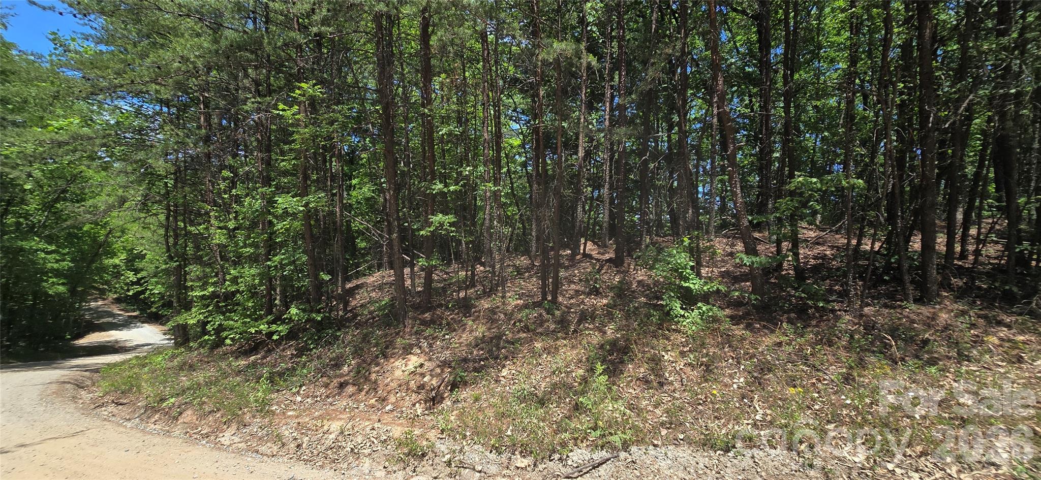 Lot 22b Pinnacle Parkway Property Photo 6