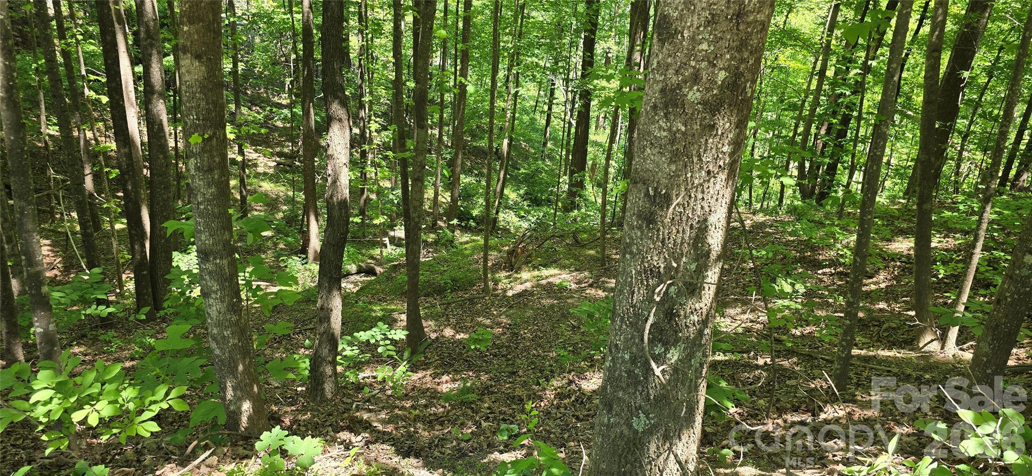 Lot 22b Pinnacle Parkway Property Photo 8
