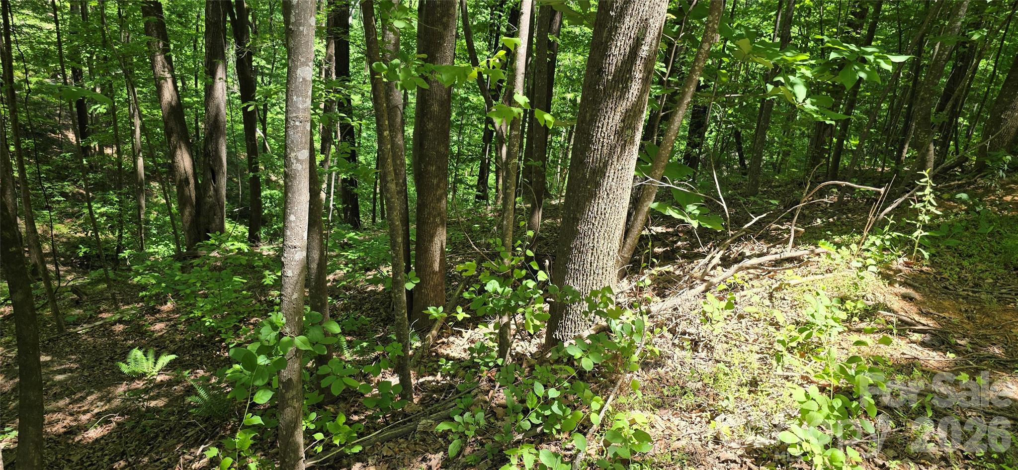 Lot 22b Pinnacle Parkway Property Photo 9