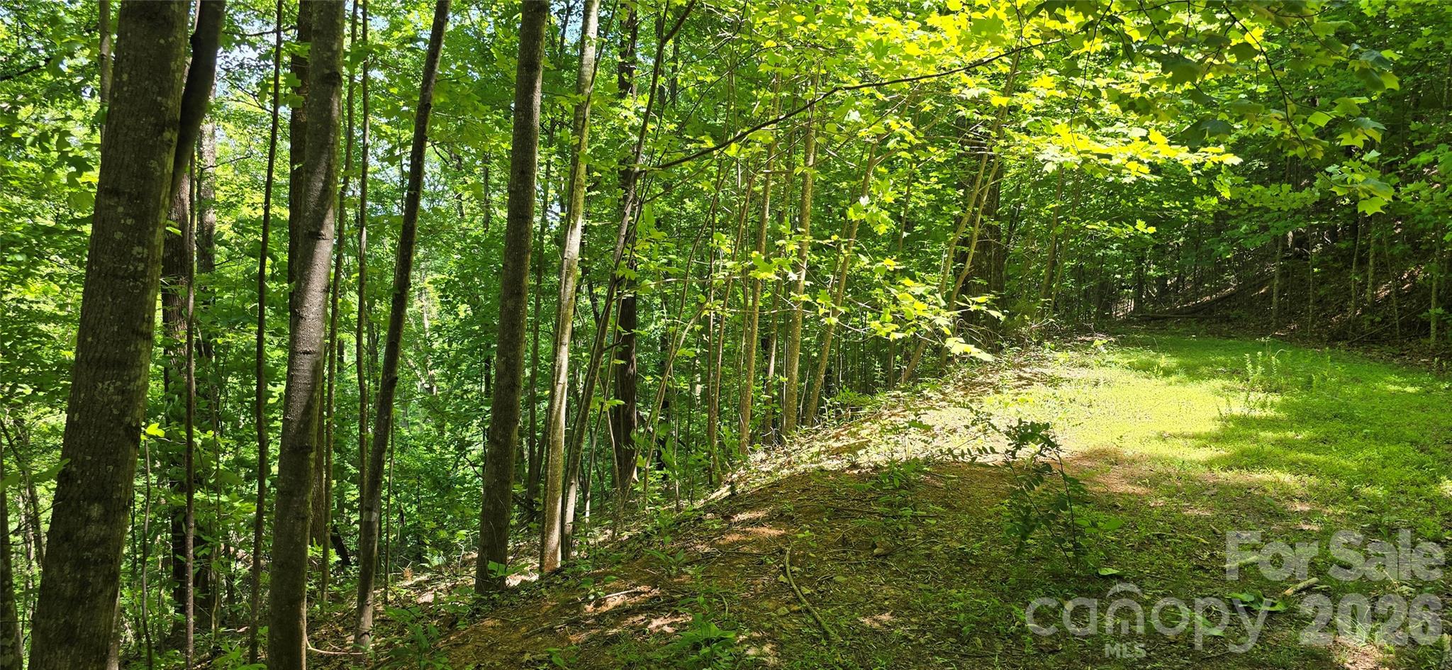 Lot 22b Pinnacle Parkway Property Photo 10