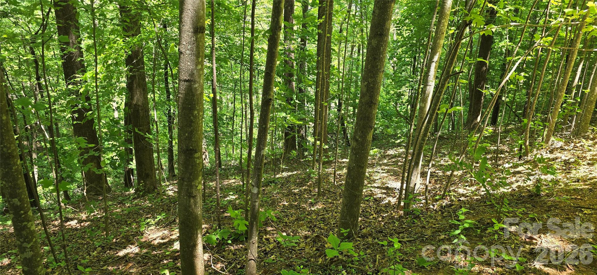 Lot 22b Pinnacle Parkway Property Photo 11