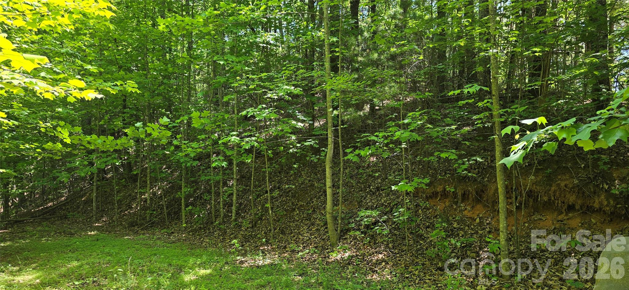 Lot 22b Pinnacle Parkway Property Photo 12