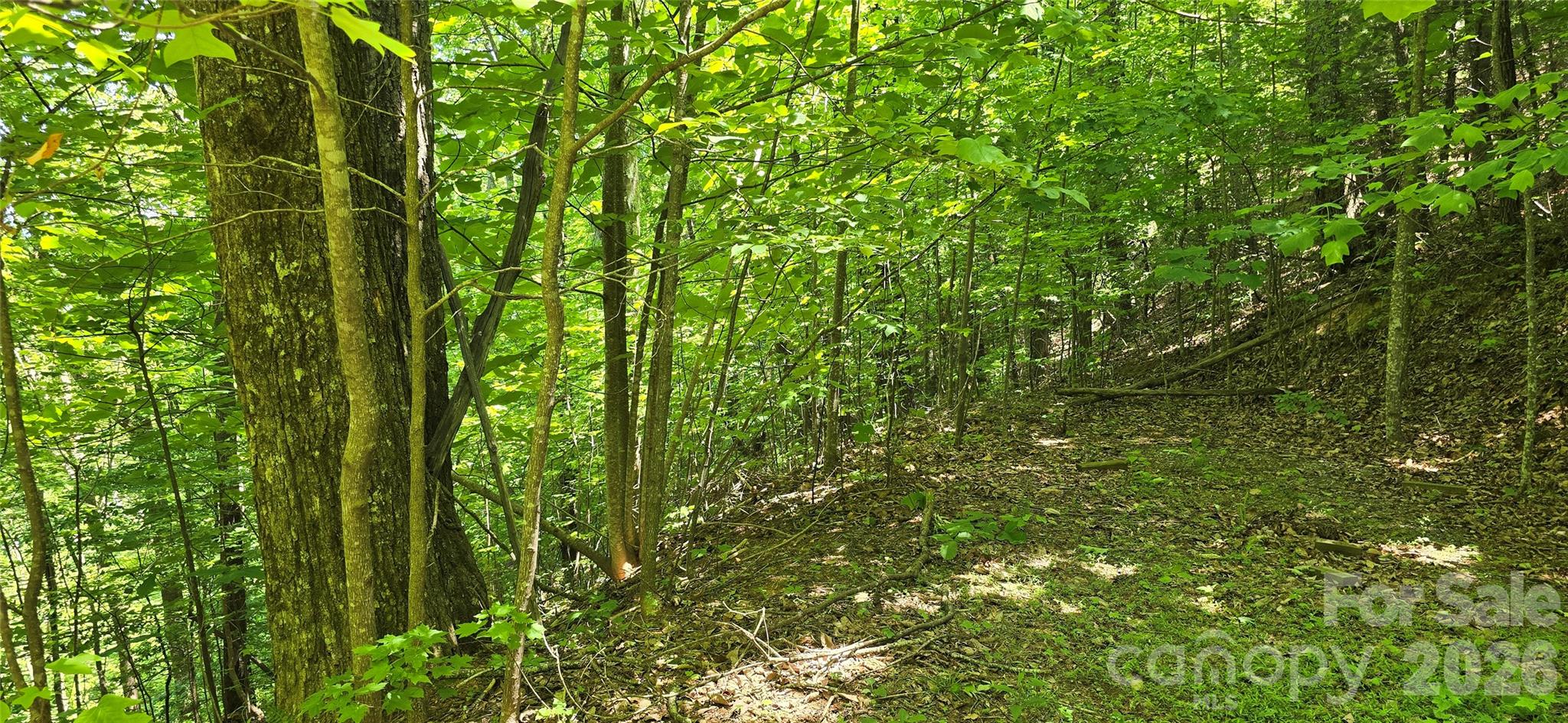 Lot 22b Pinnacle Parkway Property Photo 13