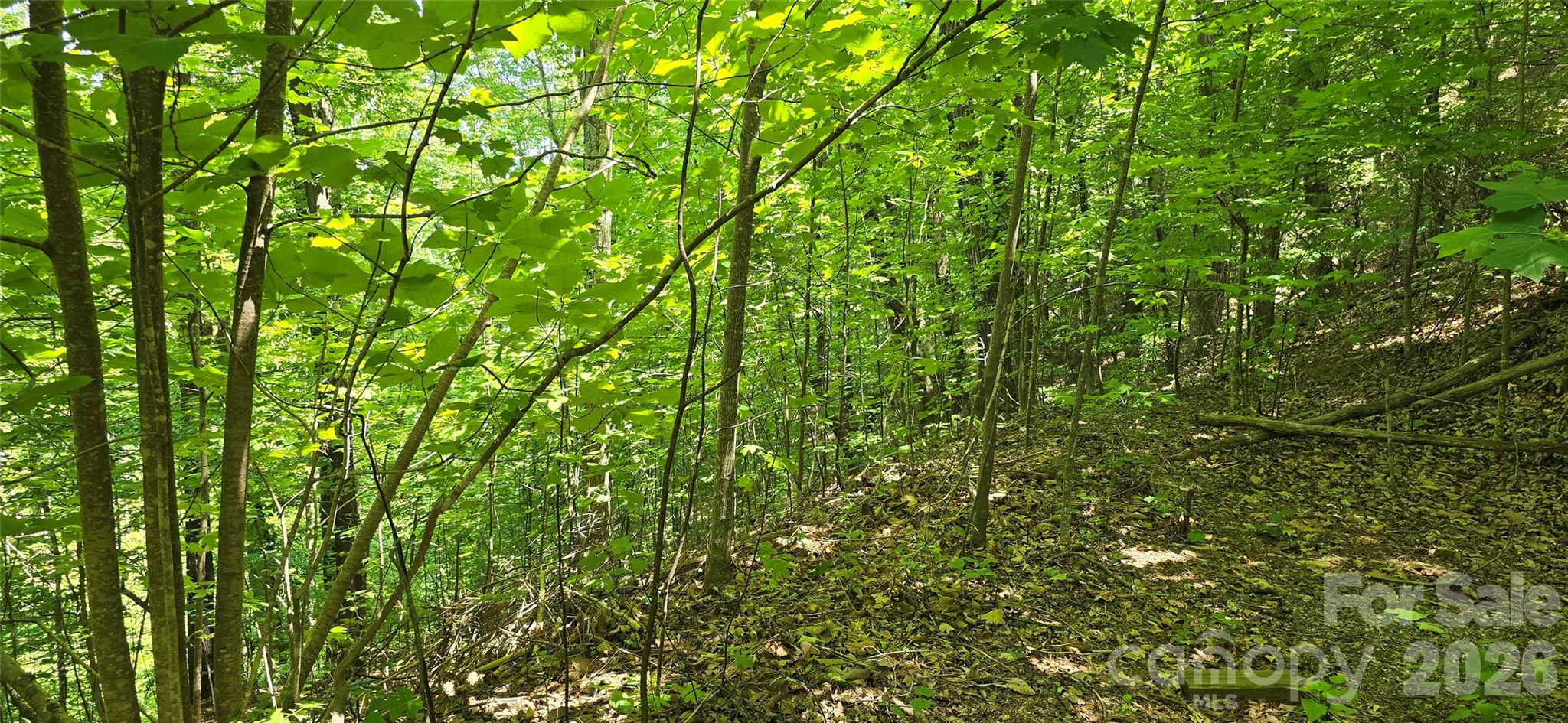 Lot 22b Pinnacle Parkway Property Photo 14