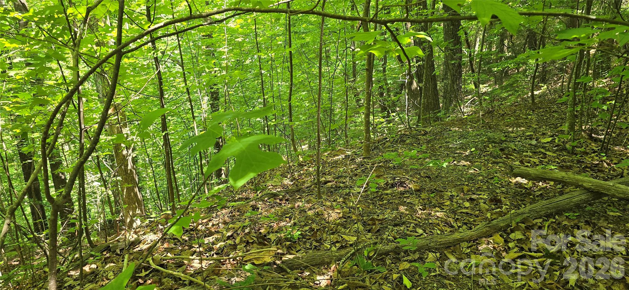 Lot 22b Pinnacle Parkway Property Photo 15