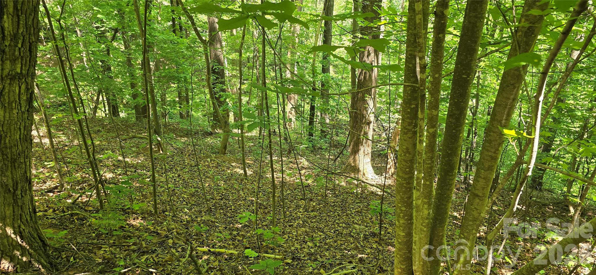 Lot 22b Pinnacle Parkway Property Photo 16