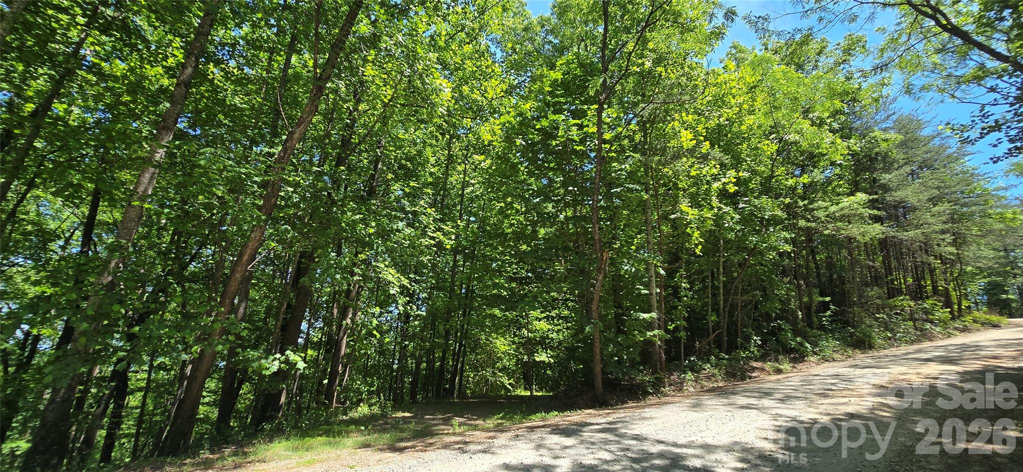Lot 22b Pinnacle Parkway Property Photo 18
