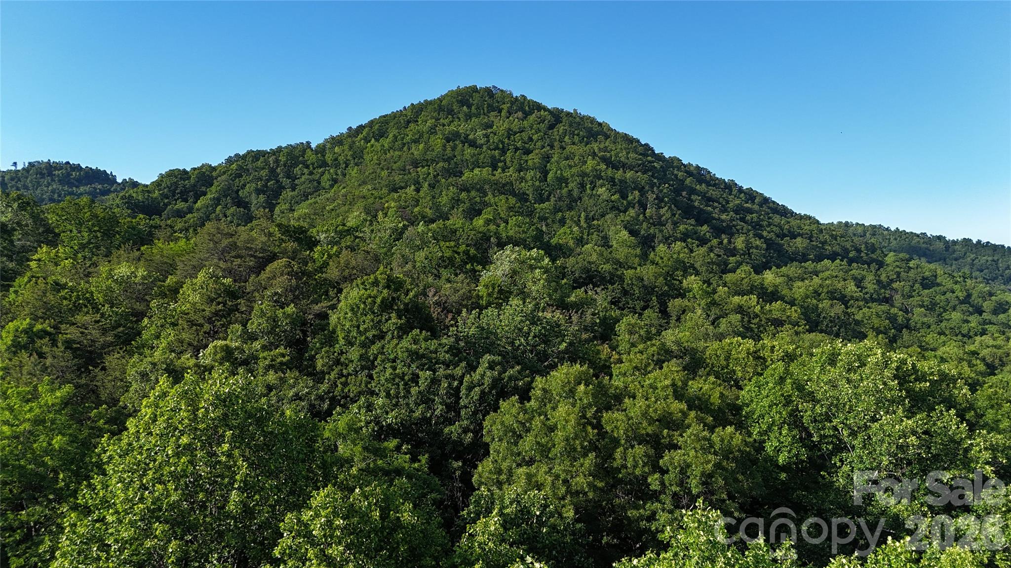 Lot 22b Pinnacle Parkway Property Photo 19
