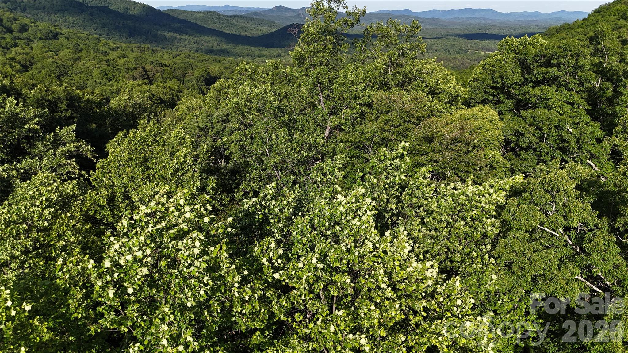 Lot 22b Pinnacle Parkway Property Photo 21