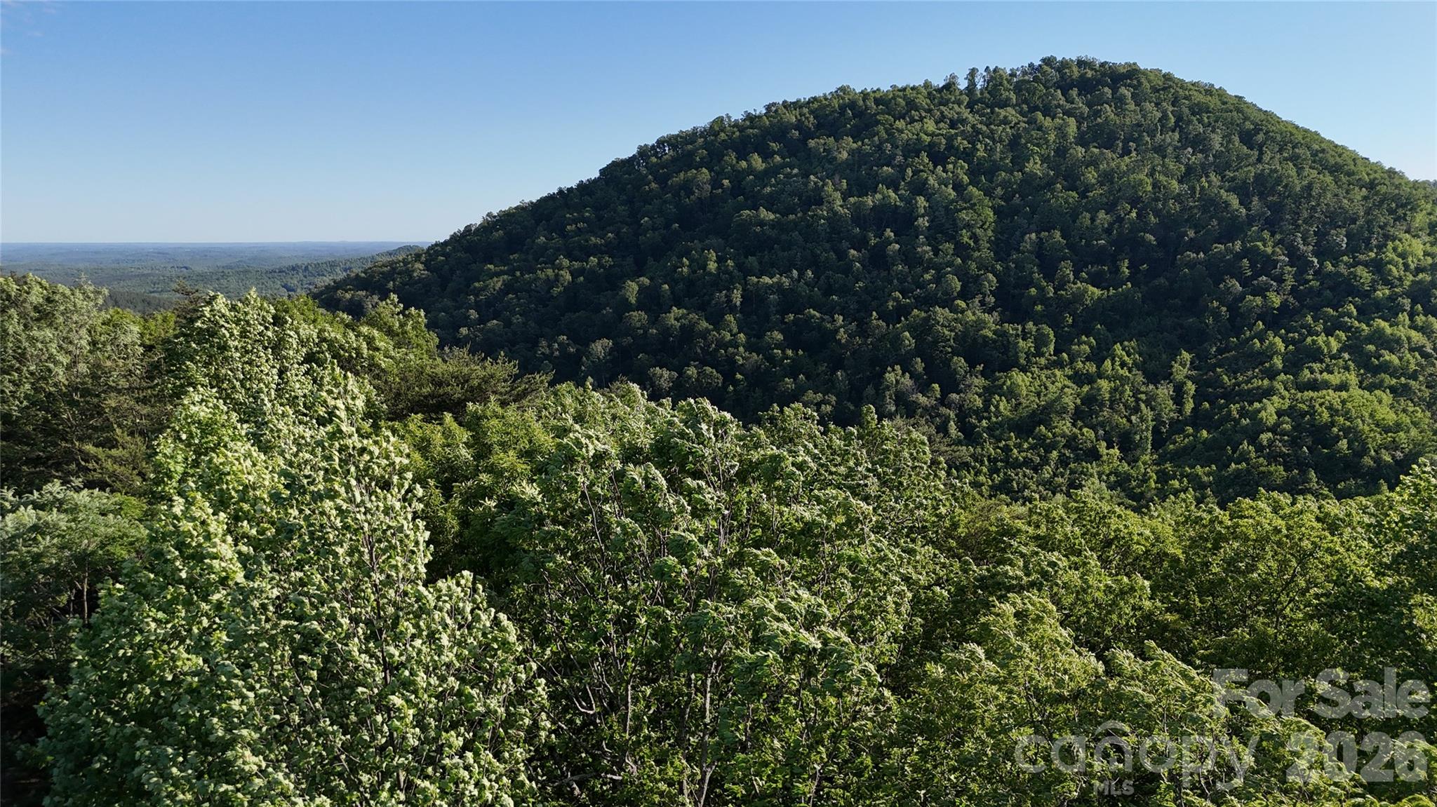 Lot 22b Pinnacle Parkway Property Photo 22