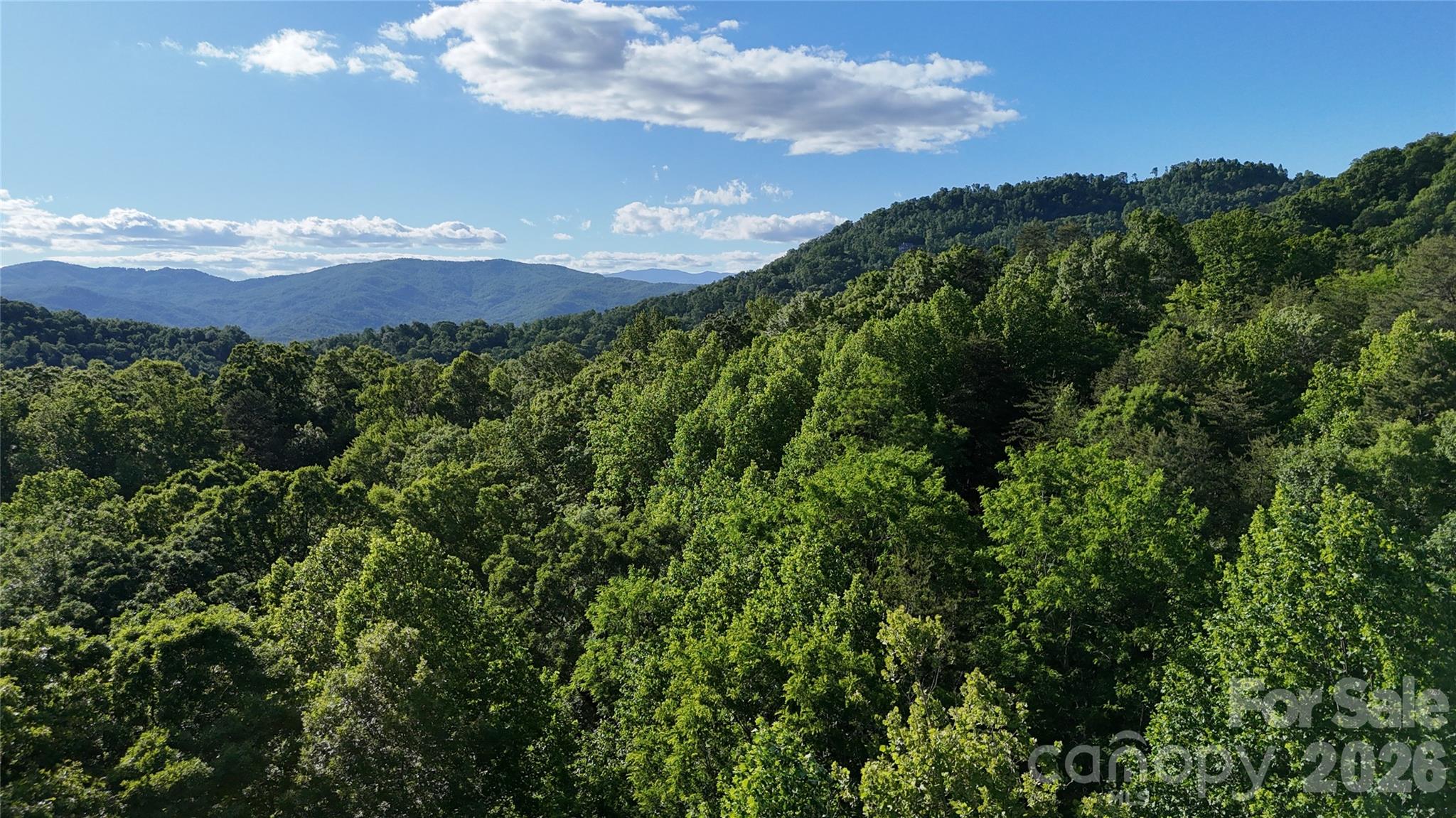 Lot 22b Pinnacle Parkway Property Photo 24