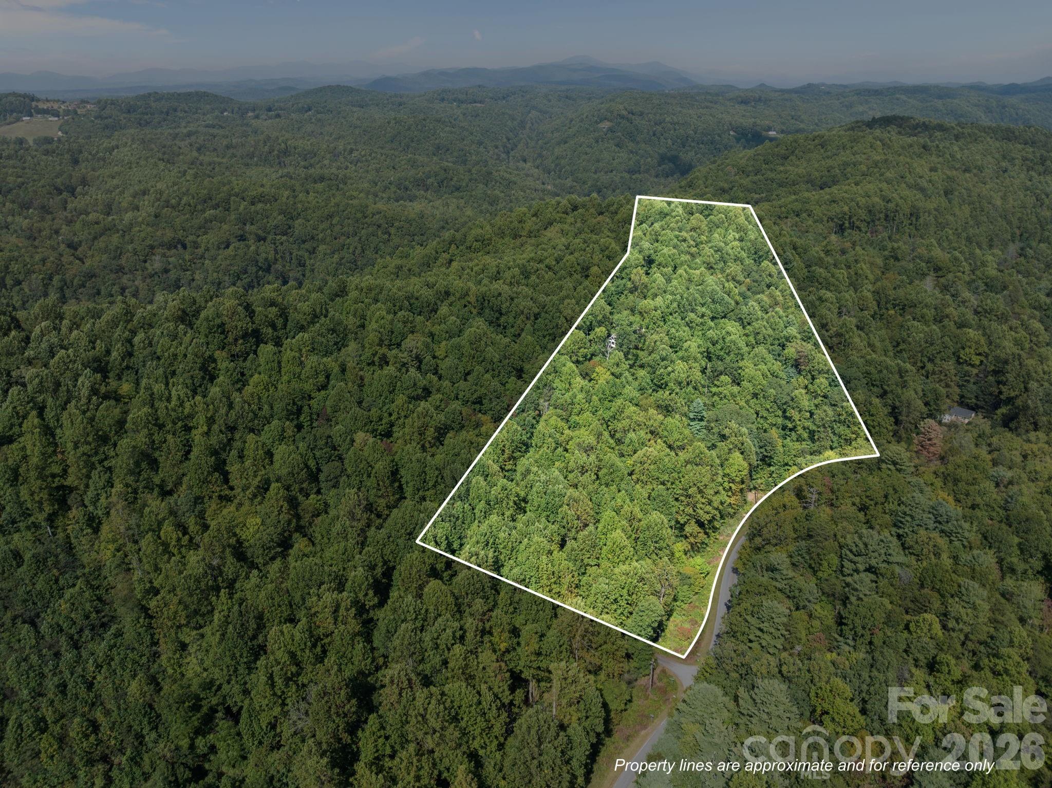 160 Little Mine Mountain Drive Property Photo 38