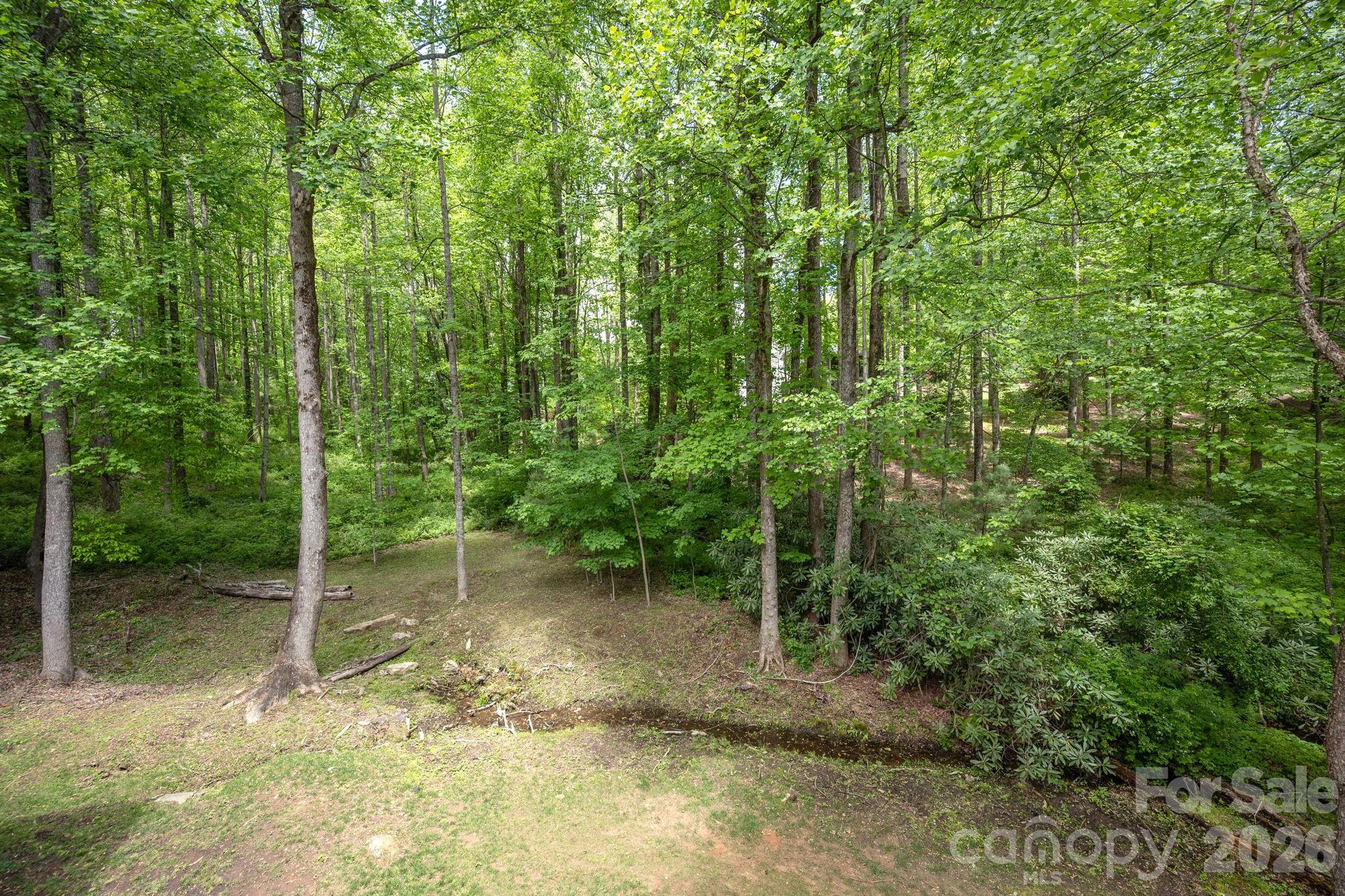 113 Chancery Court Property Photo 24