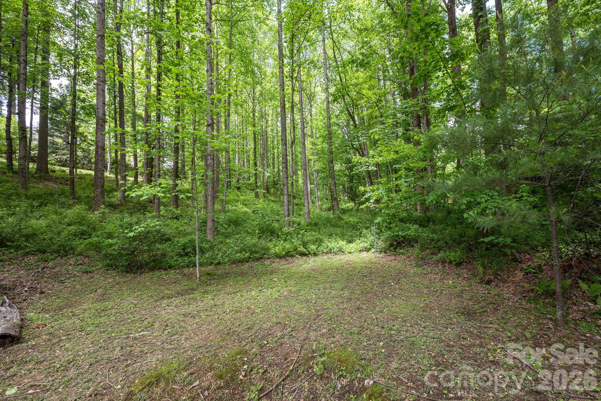 113 Chancery Court Property Photo 41