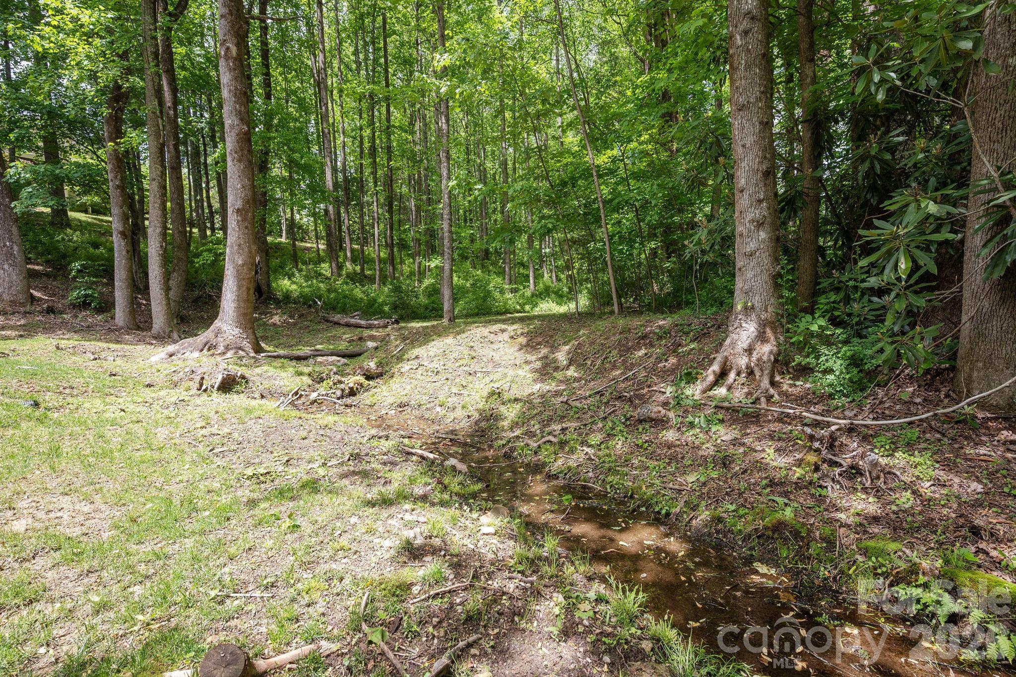 113 Chancery Court Property Photo 42