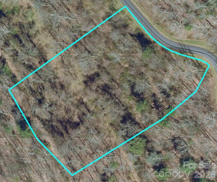 197 Starling Pass Property Photo 6