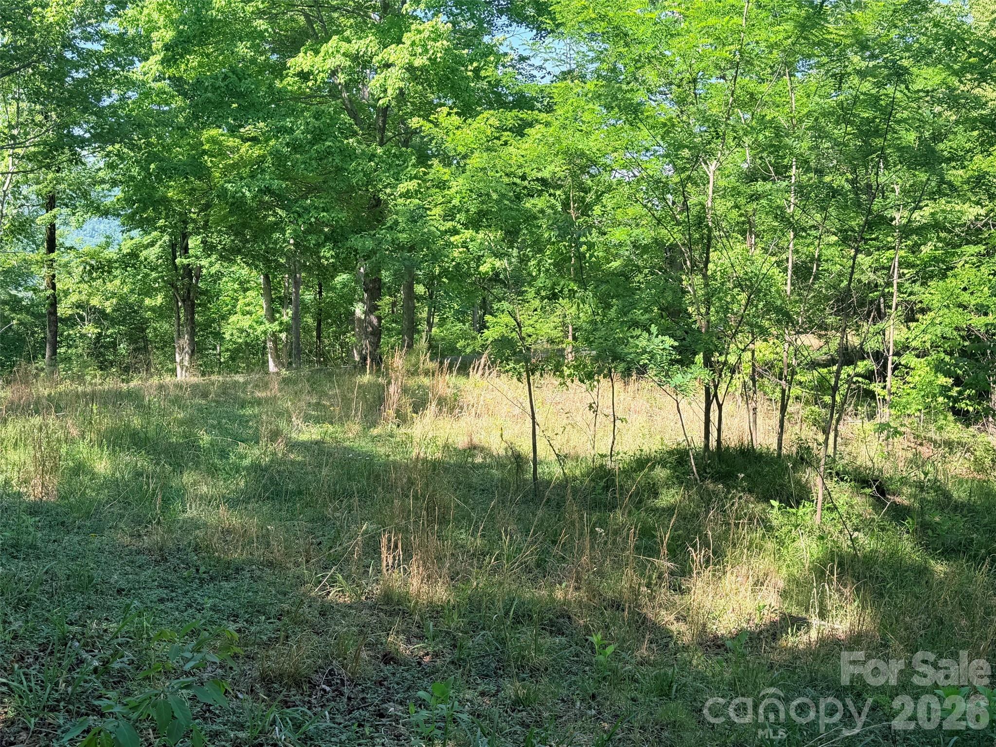 Lot 8 High Rock Ridge Property Photo 1