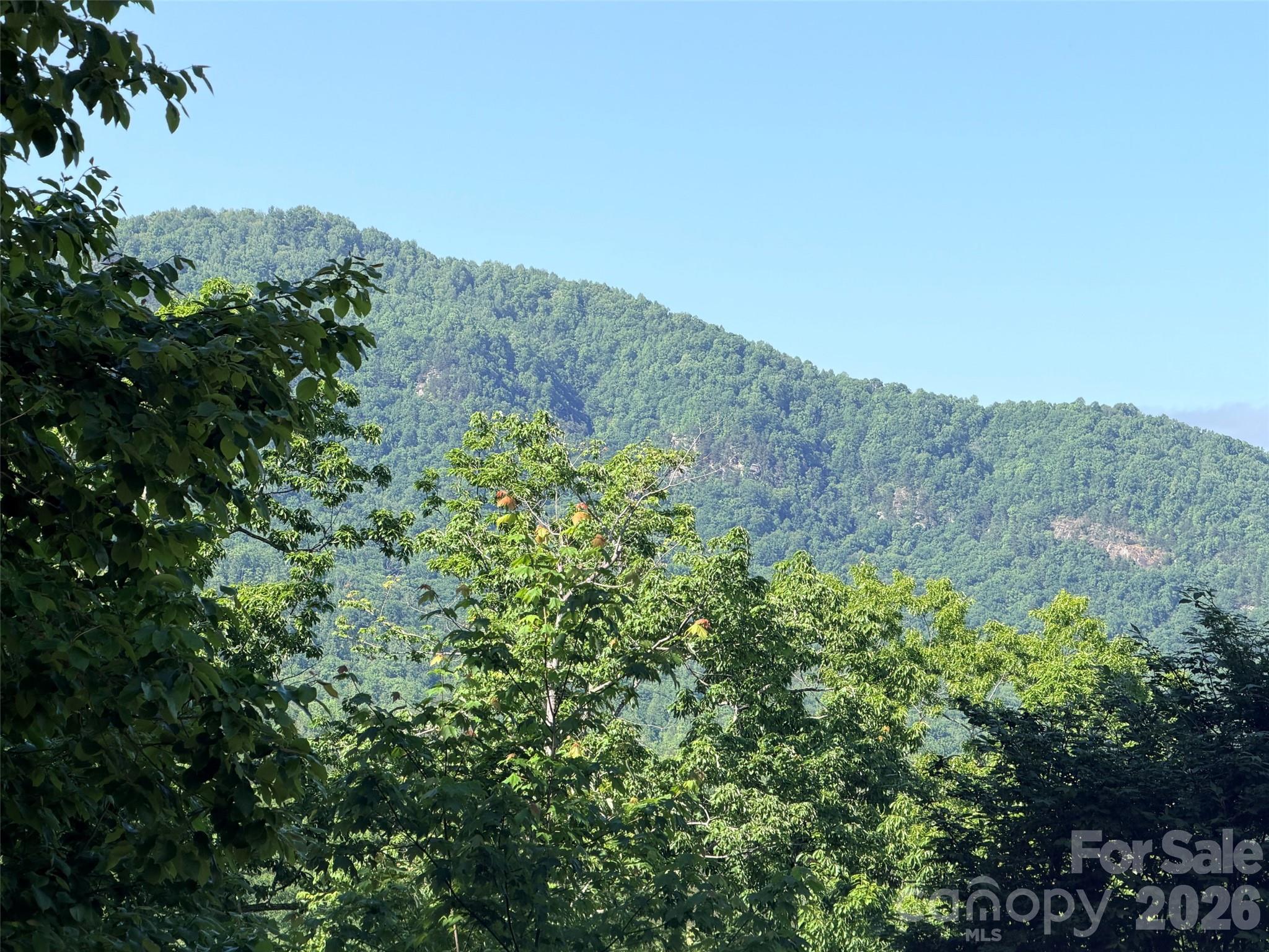 Lot 8 High Rock Ridge Property Photo 2
