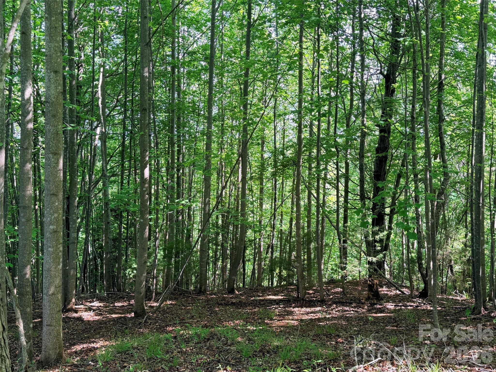 Lot 8 High Rock Ridge Property Photo 3