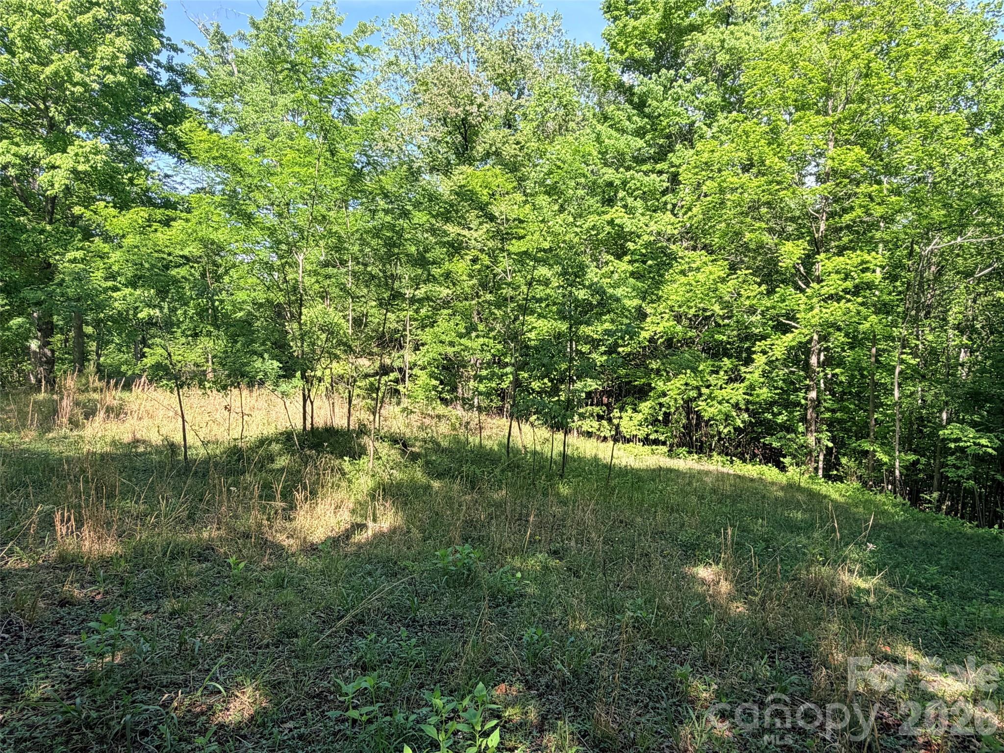 Lot 8 High Rock Ridge Property Photo 4