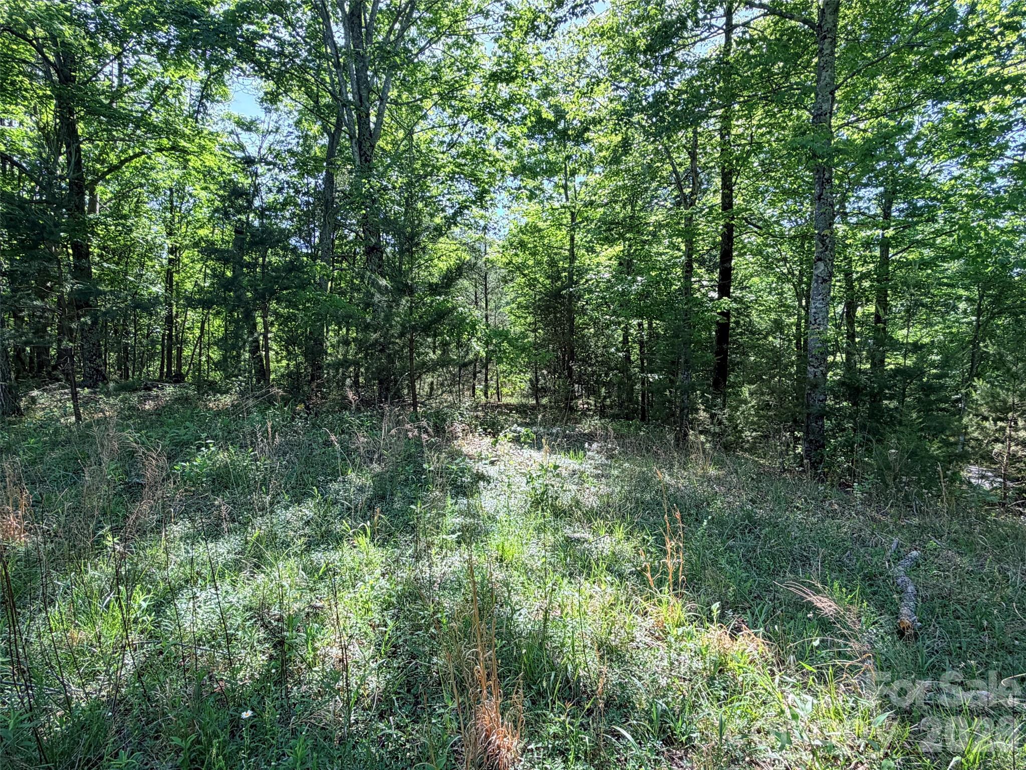 Lot 8 High Rock Ridge Property Photo 5